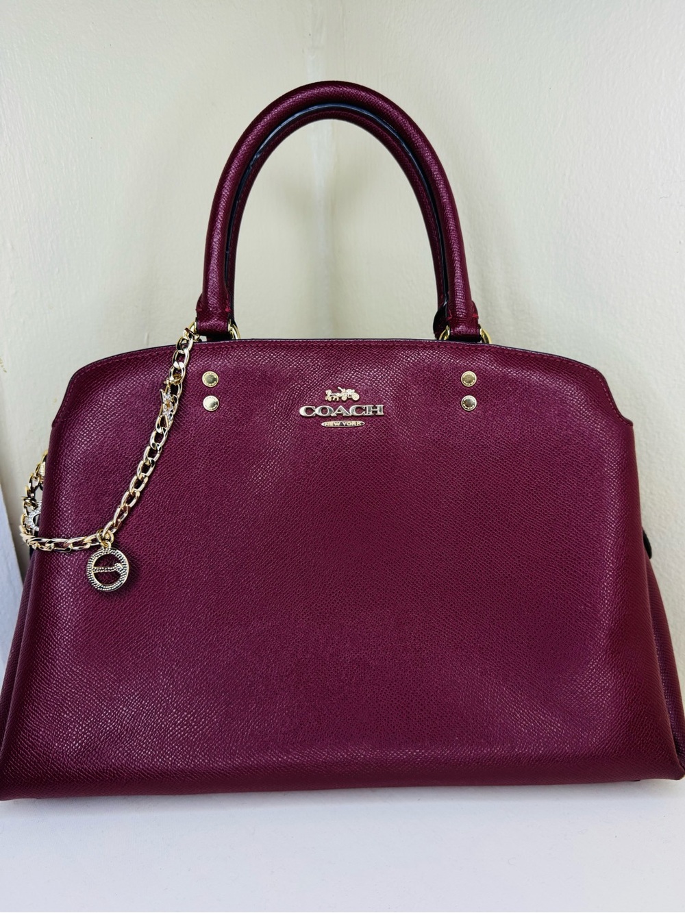 Coach Lillie Carryall Large (close to large size)